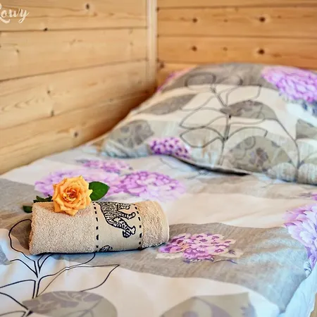 Domki Rowy Holiday home *